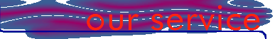 Absmax Web Design Services - Our Service